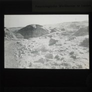 Böhl glass slide 41./2272